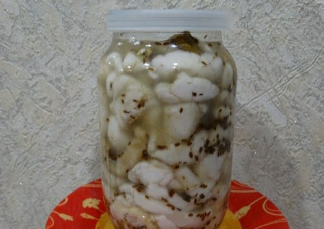 Salting dry mushrooms (white podgruzdkov) at home for the winter