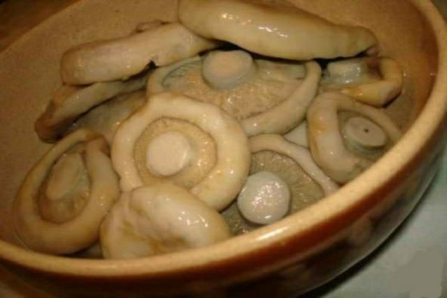 Salting dry mushrooms (white podgruzdkov) at home for the winter