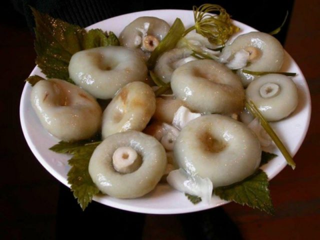 Salting dry mushrooms (white podgruzdkov) at home for the winter