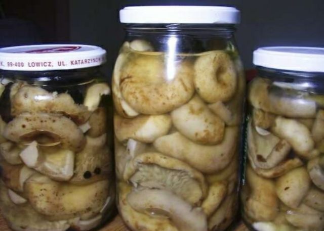 Salting dry mushrooms (white podgruzdkov) at home for the winter