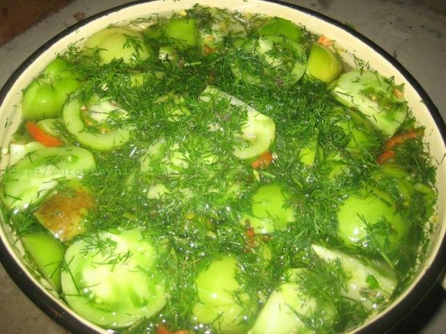 Salting green tomatoes in a cold way in a saucepan 