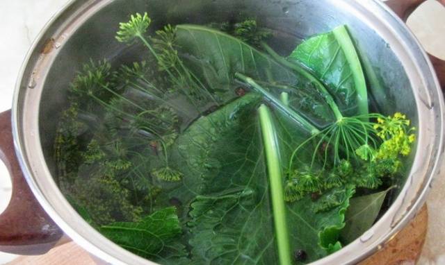 Salting green tomatoes in a cold way in a saucepan 