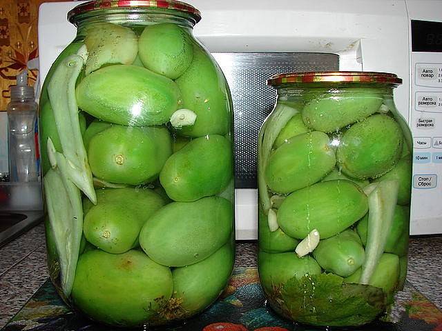 Salting green tomatoes in a cold way in a saucepan 