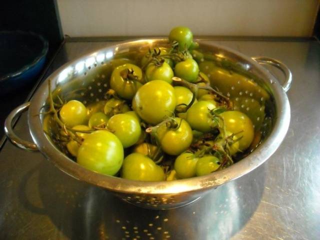 Salting green tomatoes in a cold way in a saucepan 