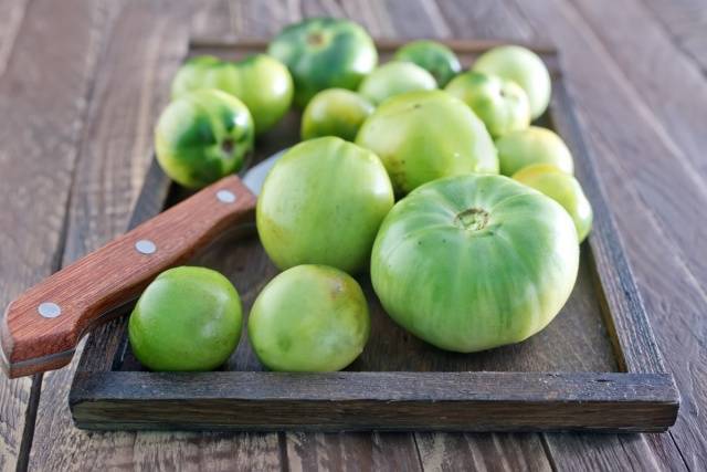 Salting green tomatoes in a cold way in a saucepan 