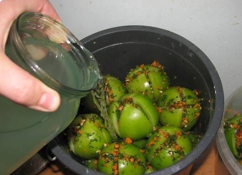 Salting green tomatoes in a cold way in a saucepan 