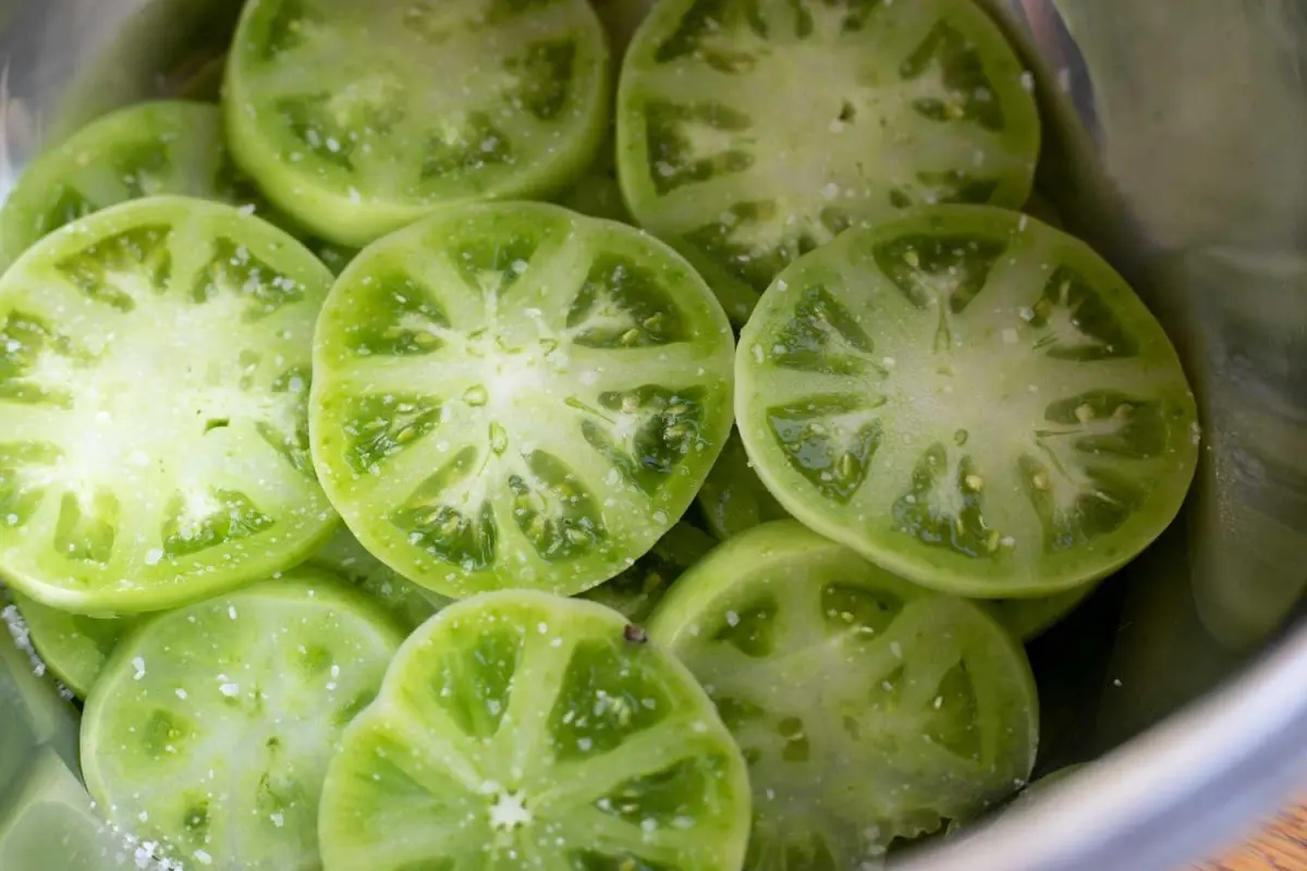 Salting green tomatoes in a cold way in a saucepan 