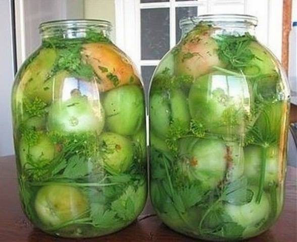 Salting green tomatoes in jars for the winter