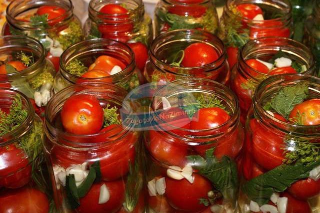 Salting green tomatoes in jars for the winter