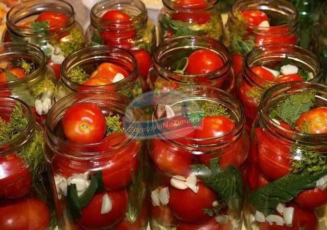 Salting green tomatoes in jars for the winter