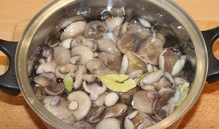 Salting honey mushrooms in a hot way: recipes for the winter