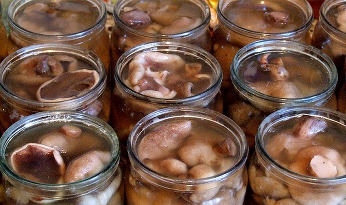 Salting honey mushrooms in a hot way: recipes for the winter