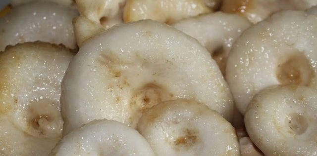 Salting milk mushrooms in a barrel in a cold and hot way