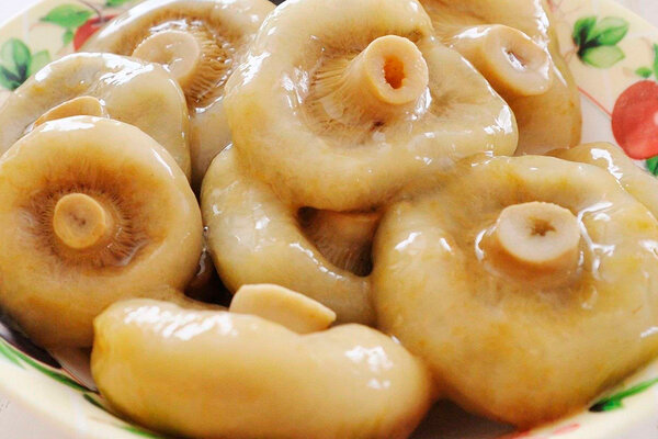 Salting milk mushrooms in a barrel in a cold and hot way