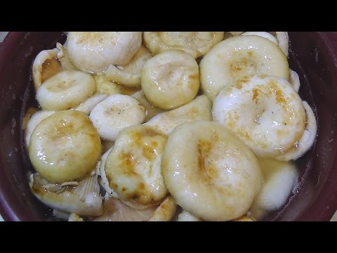 Salting milk mushrooms in a barrel in a cold and hot way