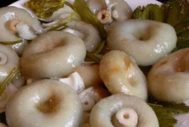 Salting milk mushrooms in a hot way at home for the winter