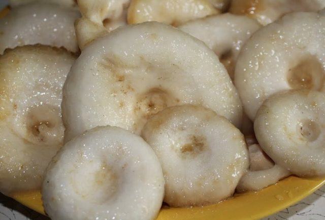 Salting milk mushrooms in a hot way at home for the winter