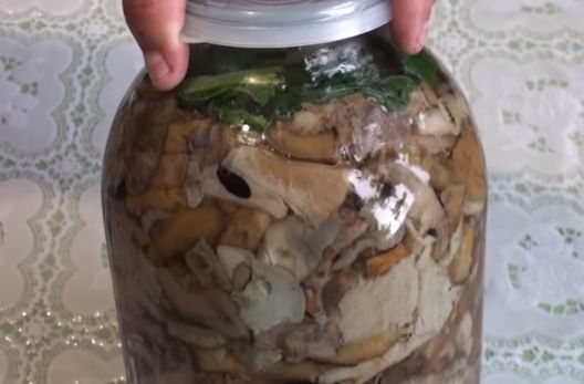 Salting milk mushrooms in a hot way at home for the winter