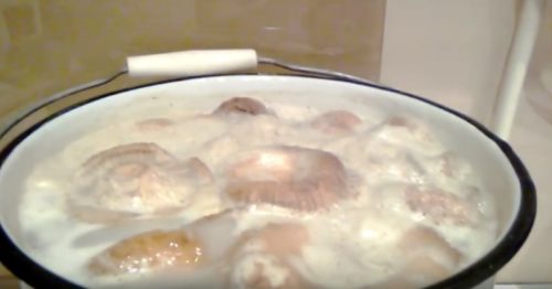 Salting milk mushrooms in a hot way at home for the winter