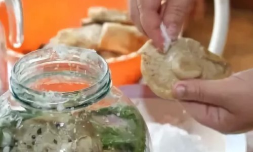 Salting milk mushrooms in a hot way at home for the winter