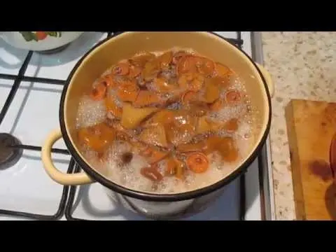 Salting mushrooms in a hot way: with garlic, mustard seeds, in 