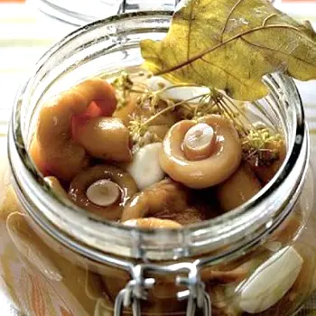 Salting mushrooms: recipes for preparations for the winter