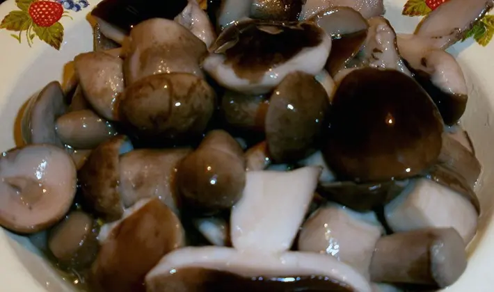 Salting mushrooms: recipes for preparations for the winter