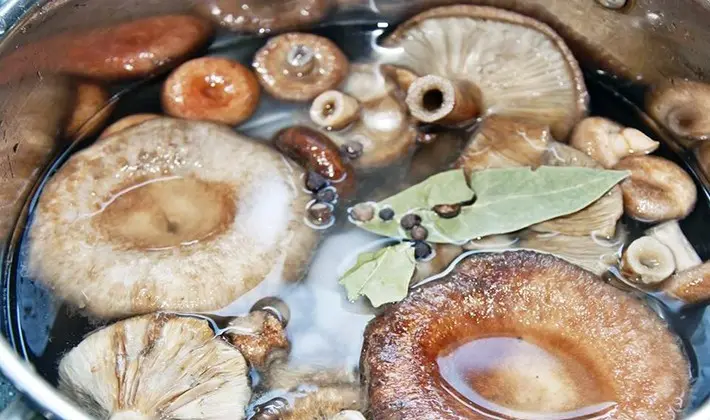 Salting mushrooms: recipes for preparations for the winter