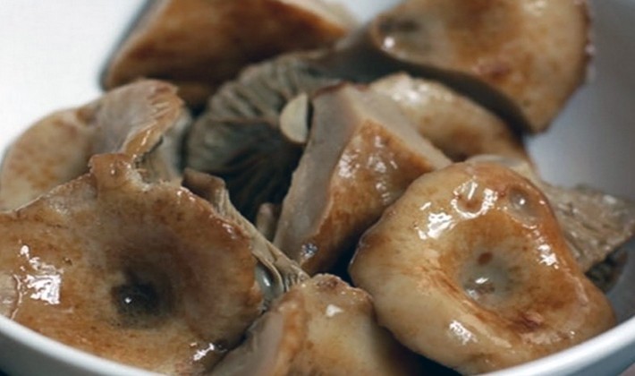 Salting mushrooms: recipes for preparations for the winter
