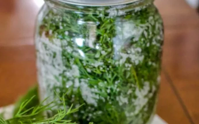 Salting parsley for the winter