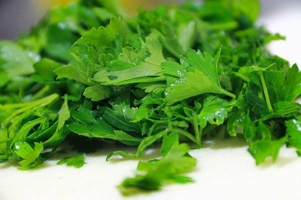 Salting parsley for the winter