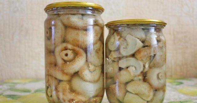 Salting (salting) milk mushrooms in a cold way at home: recipes for the winter