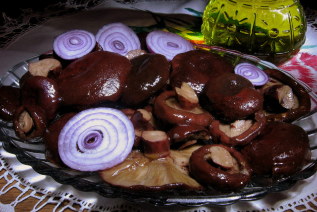 Salting (salting) milk mushrooms in a cold way at home: recipes for the winter