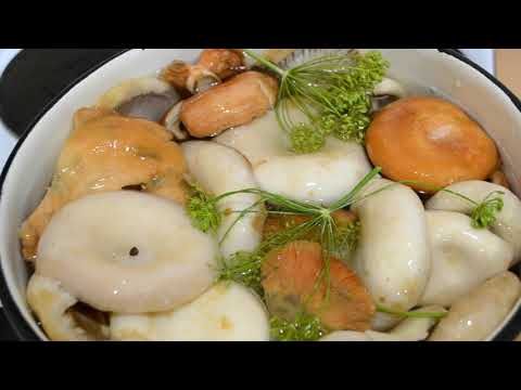 Salting (salting) milk mushrooms in a cold way at home: recipes for the winter