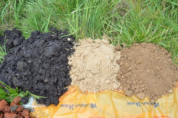 Sand as a fertilizer: what is useful and how to use