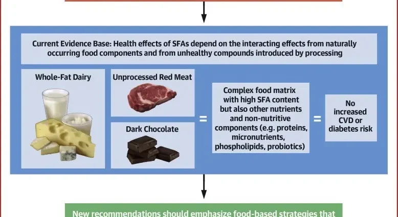 Saturated fats &#8211; sources, functions, and the impact of fats on human health