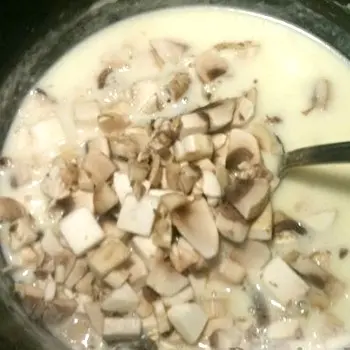 Sauce Bechamel in combination with mushrooms