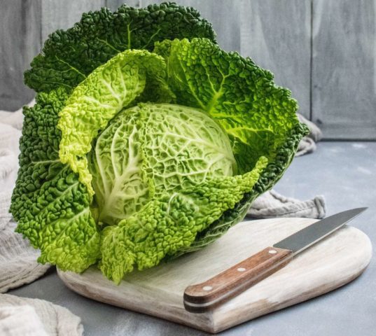 Savoy cabbage: benefits and harms, cooking recipes