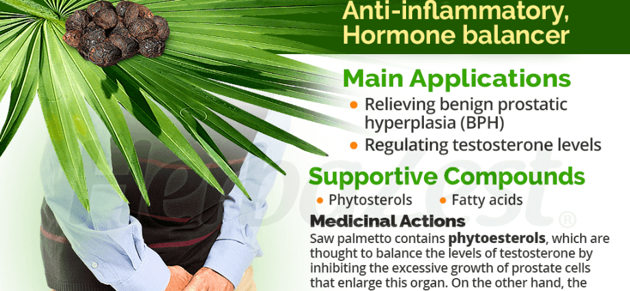 Saw palmetto &#8211; healing properties and application