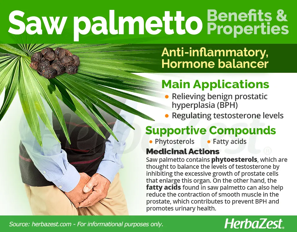 Saw palmetto &#8211; healing properties and application