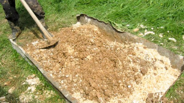 Sawdust as fertilizer: application and benefits at their summer cottage