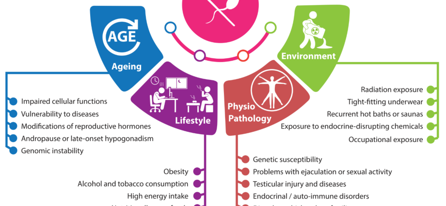 SCD test in the diagnosis of male infertility