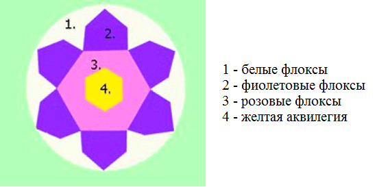 Schemes of flower beds from perennials with a description of flowers