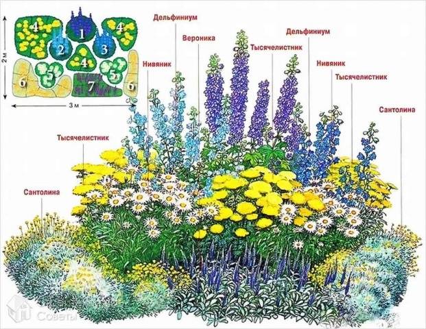 Schemes of flower beds from perennials with a description of flowers