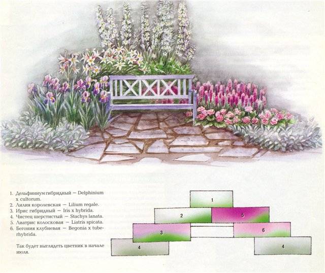 Schemes of flower beds from perennials with a description of flowers