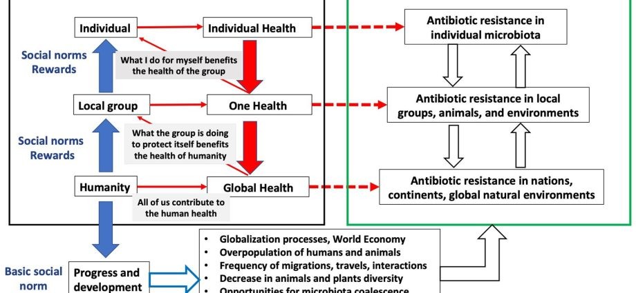 Scientist: the epidemic may contribute to the increase in antibiotic resistance