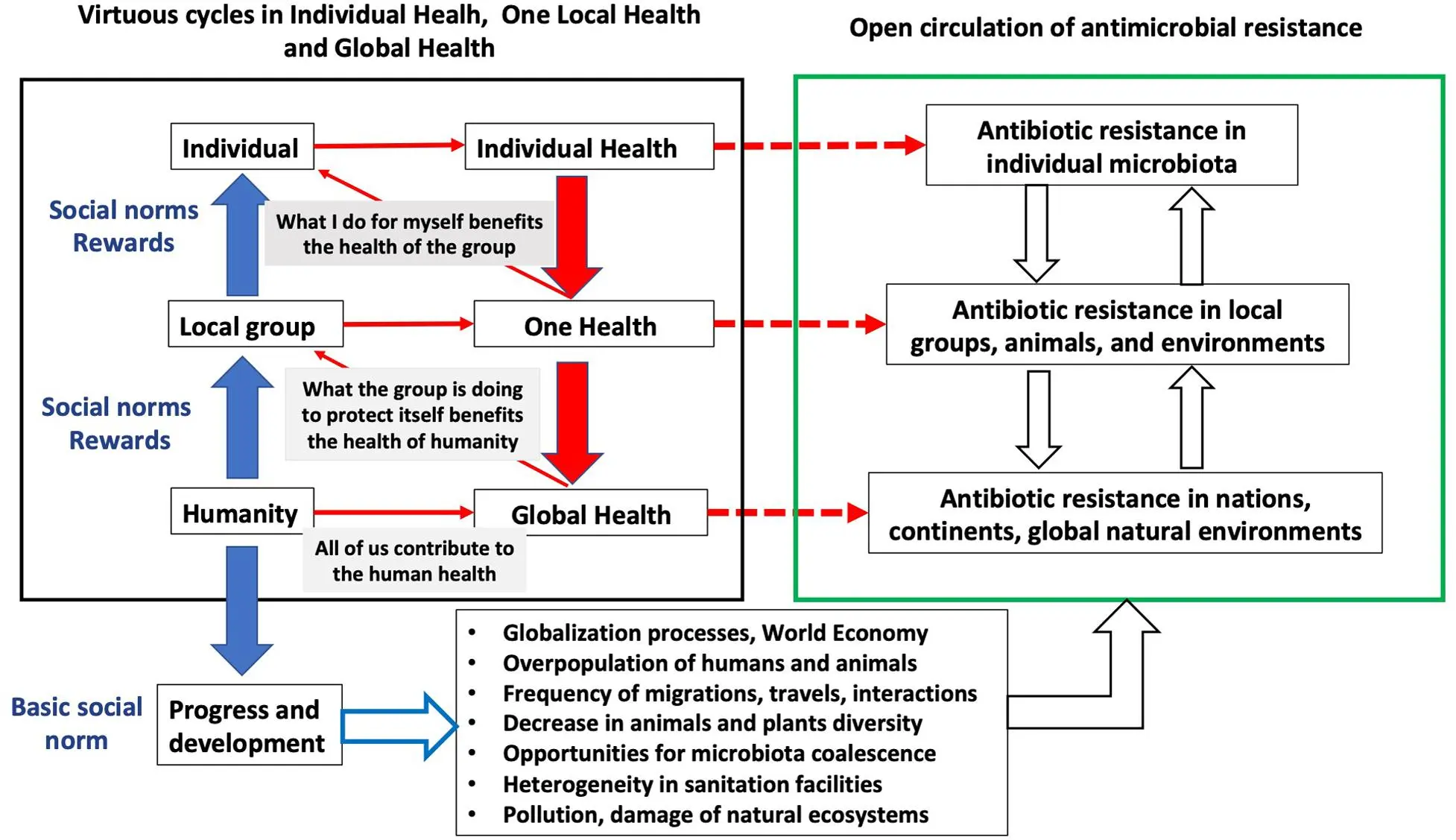 Scientist: the epidemic may contribute to the increase in antibiotic resistance