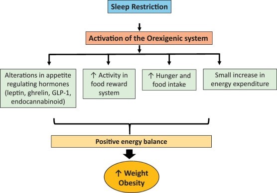 Scientists: Even one sleepless night can trigger insulin resistance