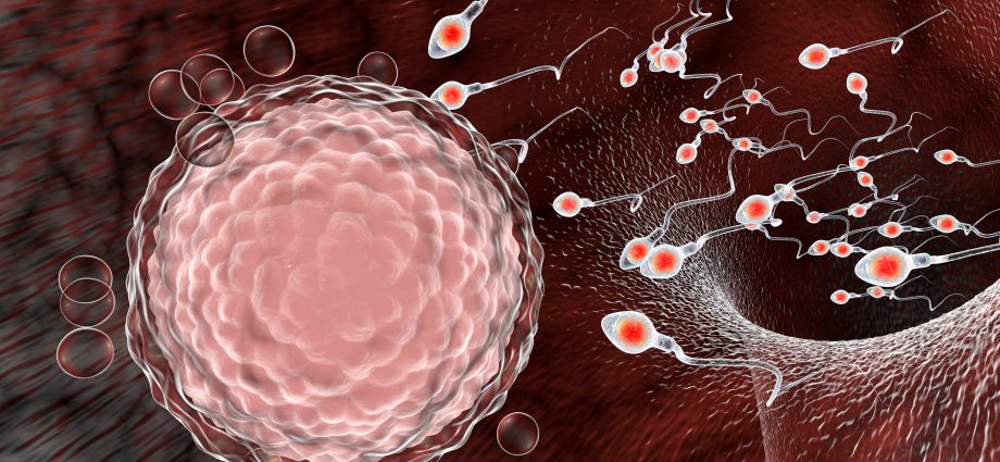 Scientists Found Coronavirus In Sperm. Can COVID-19 be sexually transmitted?