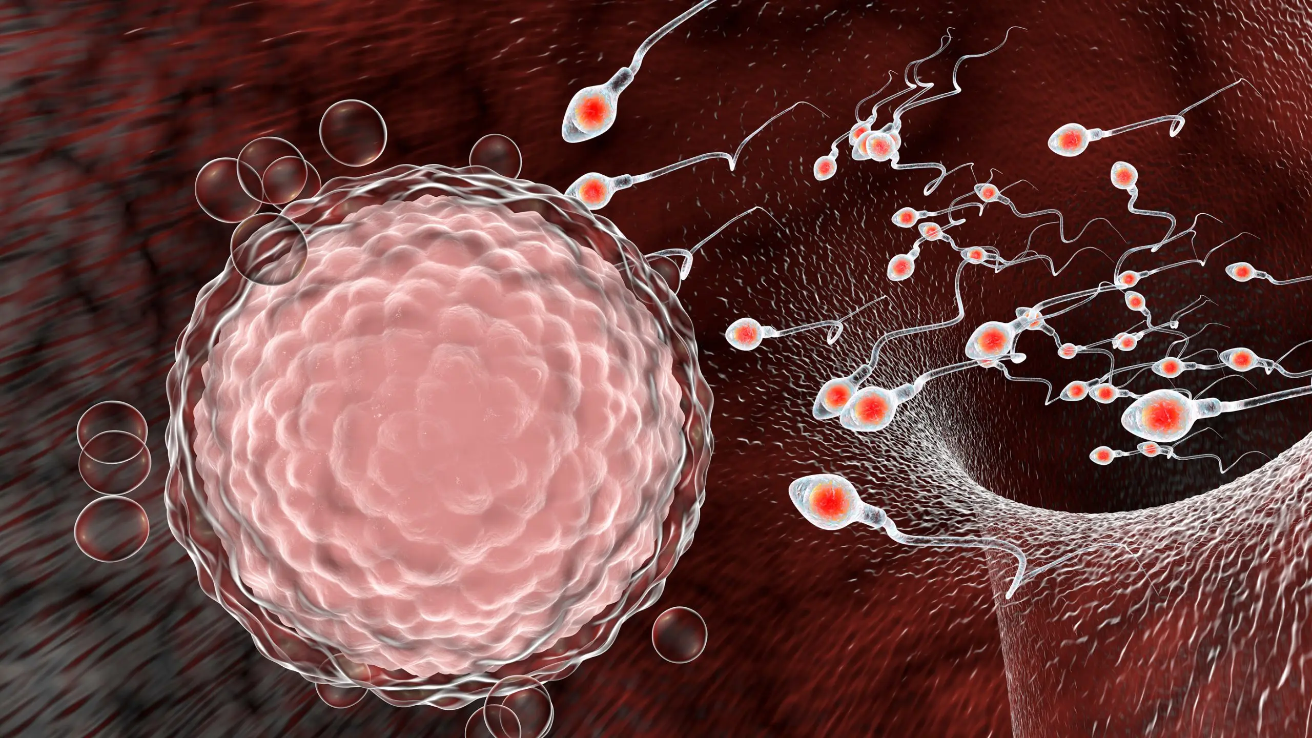 Scientists Found Coronavirus In Sperm. Can COVID-19 be sexually transmitted?